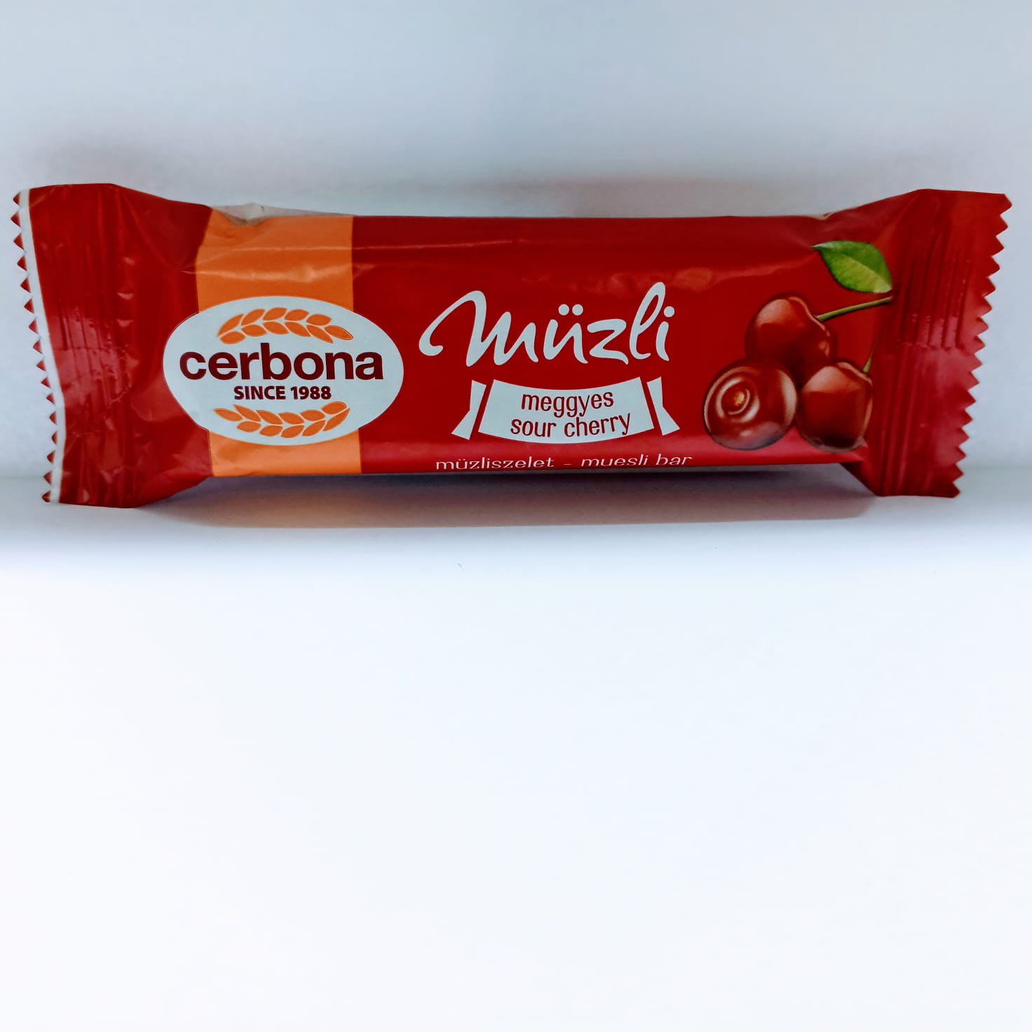 WhatsApp Image 2024-11-26 at 2.40.16 PM.jpeg